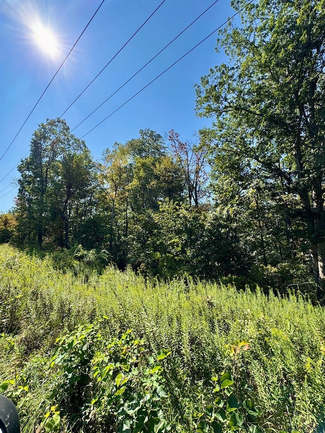 26501 Sowers Rd, McArthur, OH 45651 - photo 7