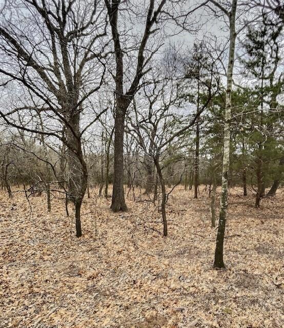 139 Red Oak Dr, Decatur, TX 76234 - photo 5