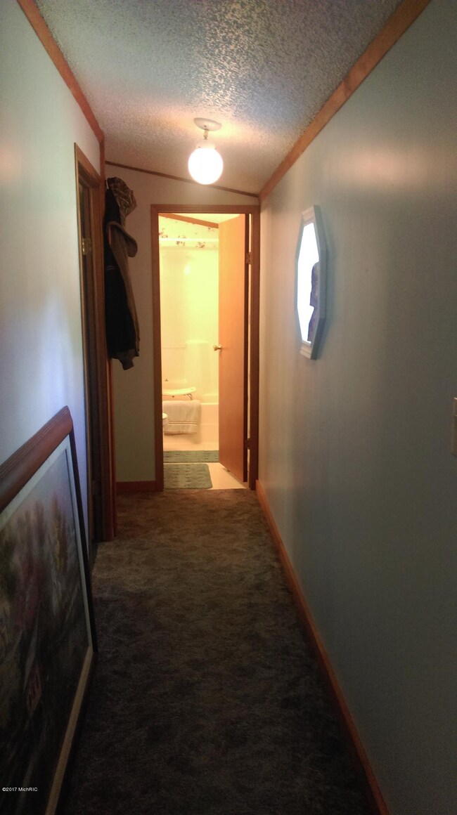 10654 Lintula Rd, Kaleva, MI 49645 - photo 7