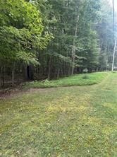 Section 14 Lot 24 Port-Au-prince Rd, Dubois Area School District, PA 15801 - photo 4