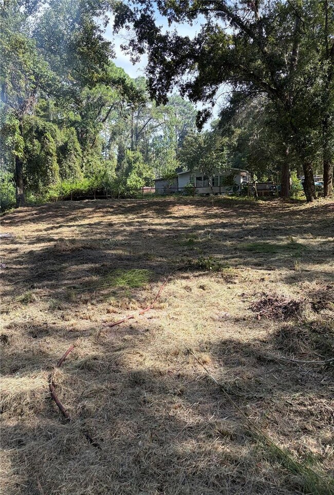 10548 Posen St, New Port Richey, FL 34654 - photo 3