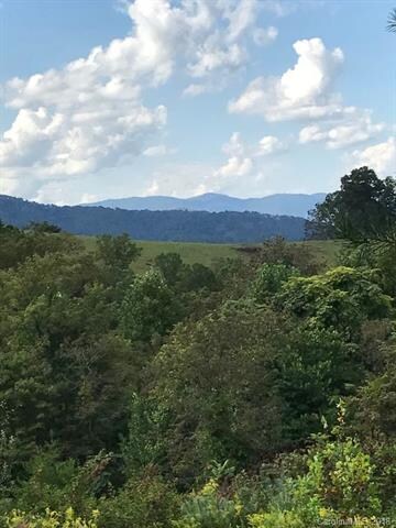 5 Tremorra Trail, Leicester, NC 28748 - photo 4