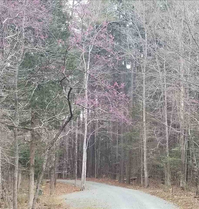 Lot 4 Arcadia Ln, Pittsboro, NC 27312 - photo 7