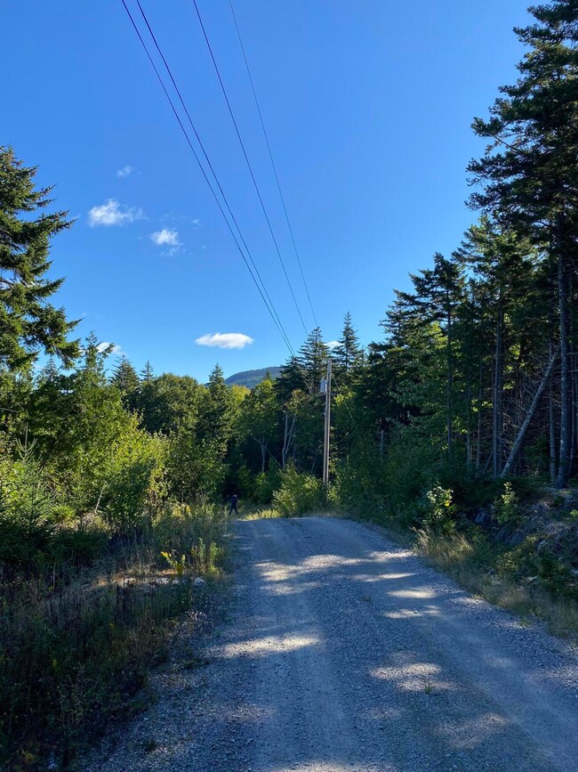 Roadway