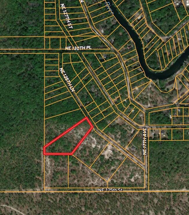 Lot 12 NE 125th Ln, Branford, FL 32008 - photo 2