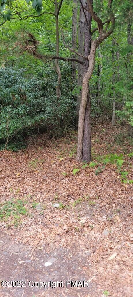 1410 Silver Maple Rd, Effort, PA 18330 - photo 3