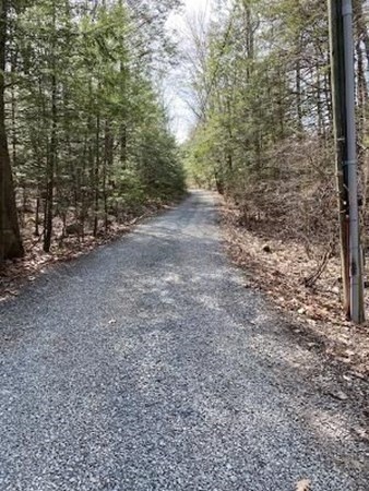 290 Southampton Rd, Westhampton, MA 01027 - photo 3