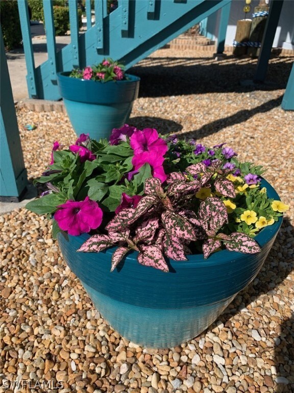 The owners potted plants are included and the pots