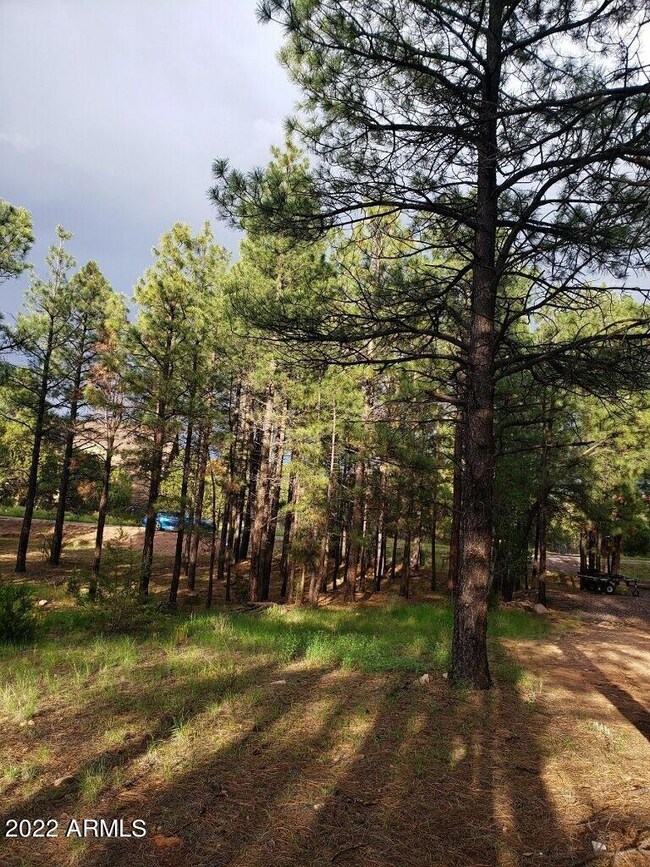 2974 Lookout Ln3