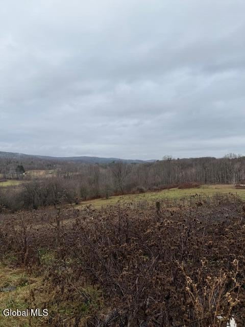 L11 Sheldon Rd, Granville, NY 12832 - photo 2