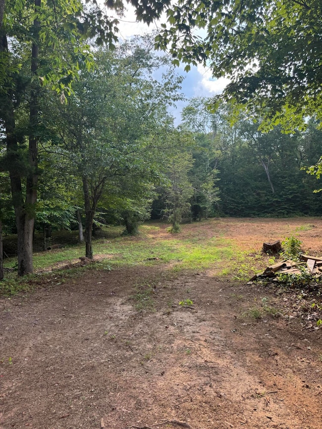 10597 Snow Creek Rd, Penhook, VA 24137 - photo 7