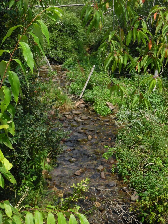 180 Fassifern Fields Rd, Slatyfork, WV 26291 - photo 2