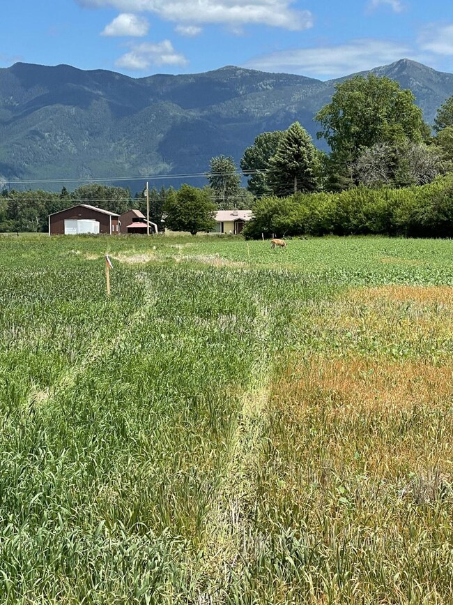 2712 Helena Flats Rd, Kalispell, MT 59901 - photo 5