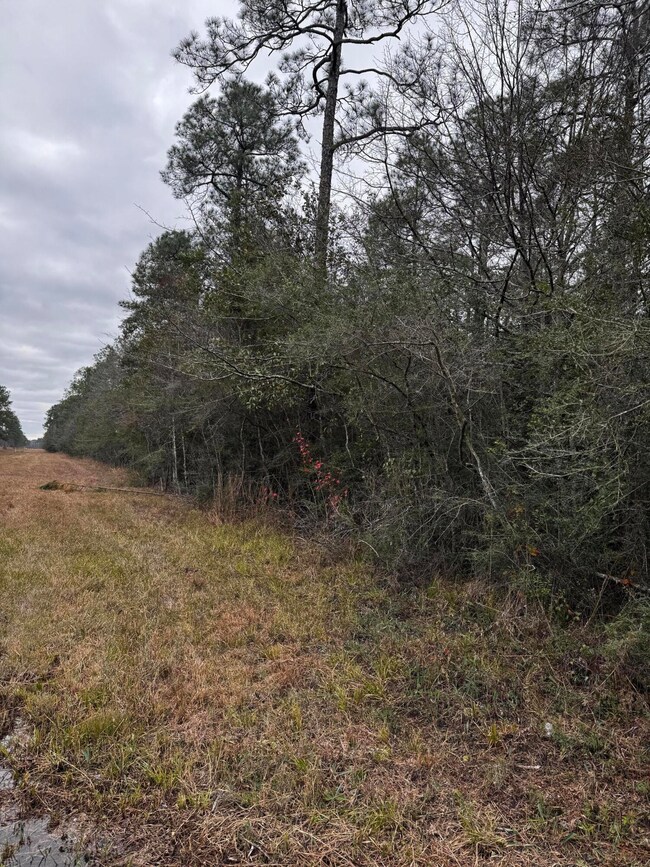 000 Saracennia Rd, Moss Point, MS 39562 - photo 6