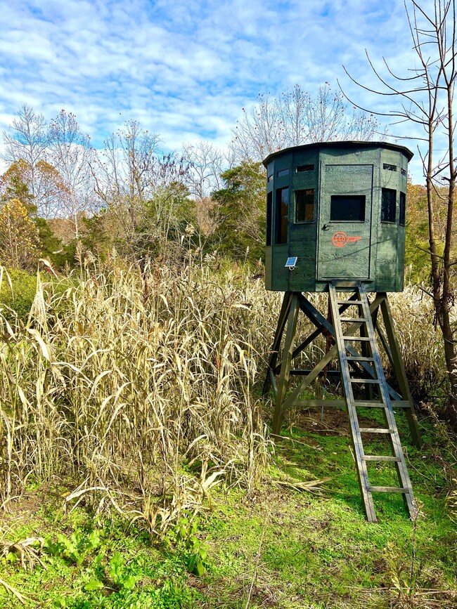 Harriet Rd, Hillsboro, OH 45133 - photo 5