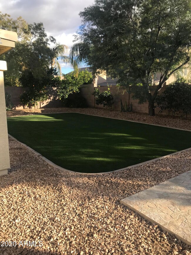 PIC - BACKYARD 1