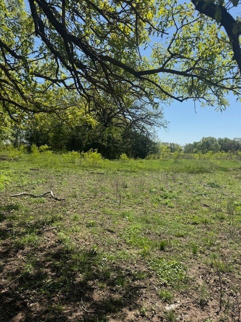 6355 Newt Patterson Rd unit A, Mansfield, TX 76063 - photo 5