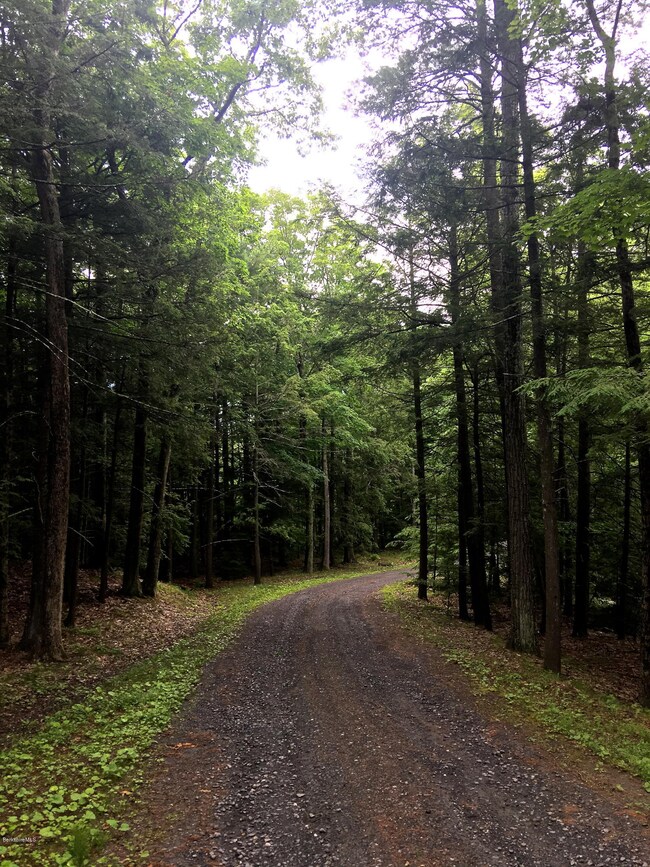 unlisted-address, Great Barrington, MA 01230 - photo 4