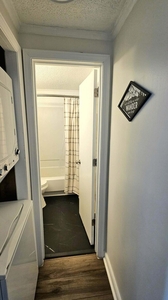 Hall w/d and bathroom