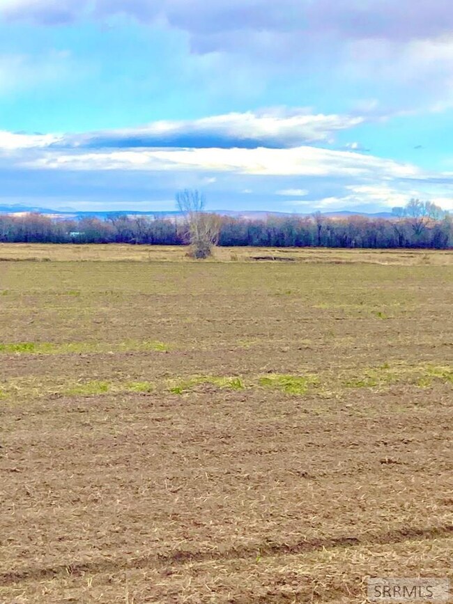 view of lot and behind