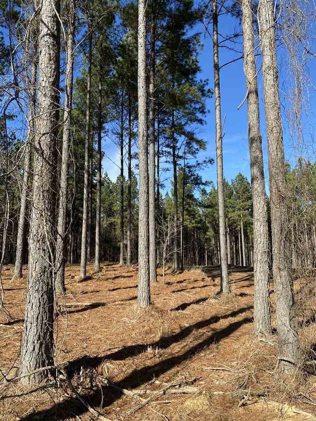 651 Stull Rd unit 2, Brandon, MS 39047 - photo 3