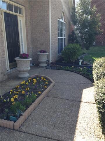LOVELY SPRING FLOWERS