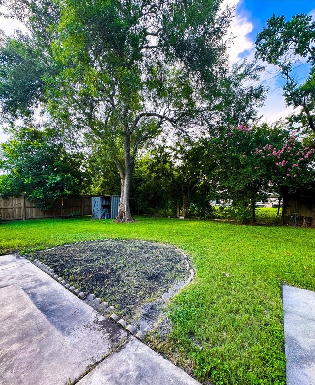 Backyard patio