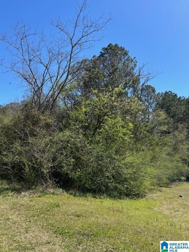 0 Cathedral Ln unit 4 21413575, Mc Calla, AL 35111 - photo 4