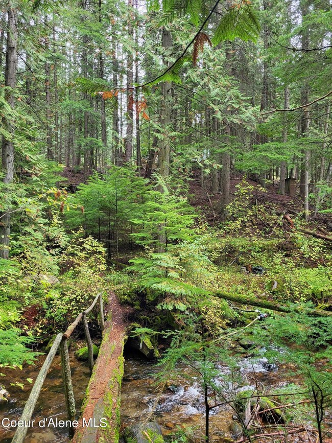 Granite Creek 5