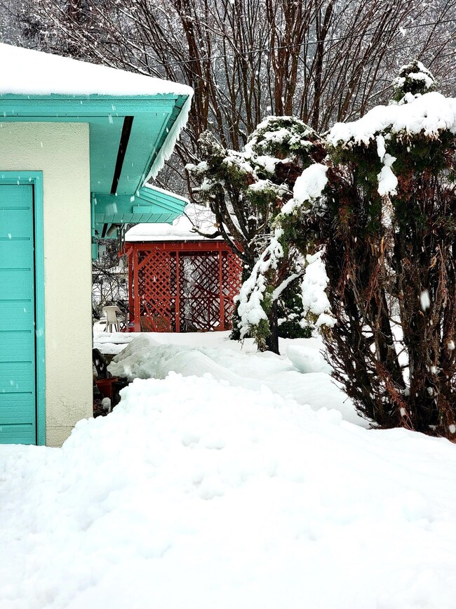 Gazebo in back yard