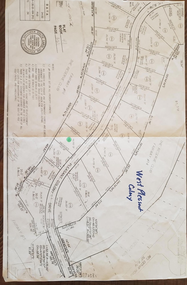 543 W Pleasant Colony Dr unit Lot 290, Aiken, SC 29803 - photo 7