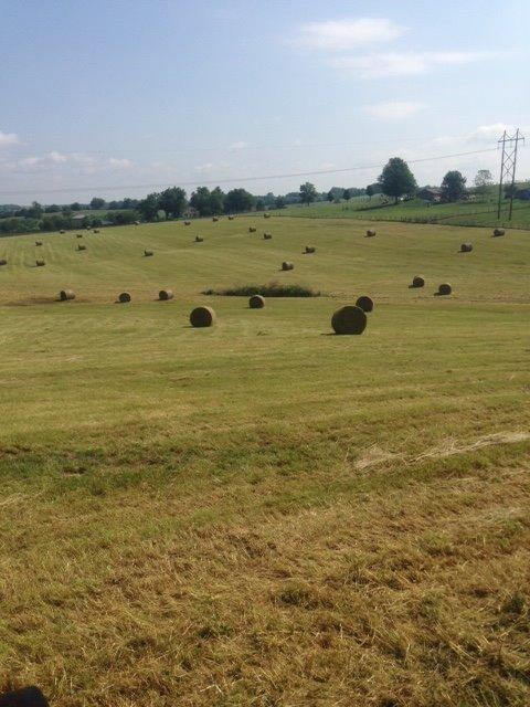 1 Chatham Rd, Harrodsburg, KY 40330 - photo 2