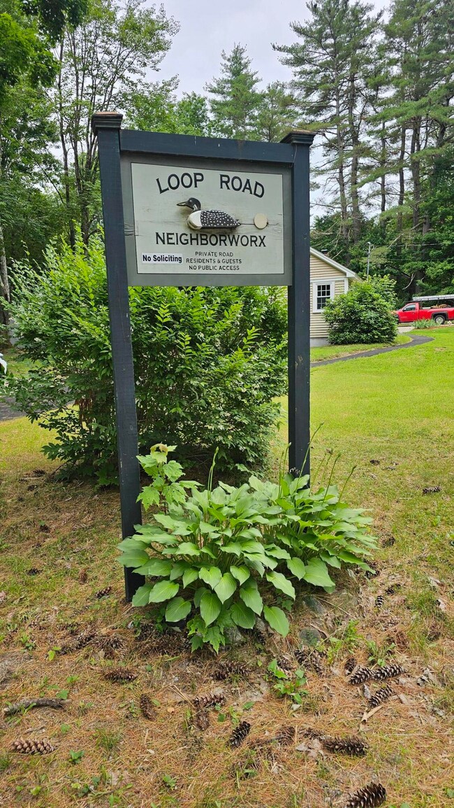Loon Pond