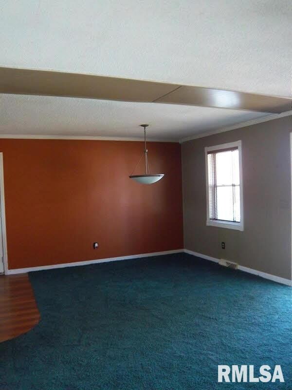 114 Lambert Dr, Shawneetown, IL 62984 - photo 6