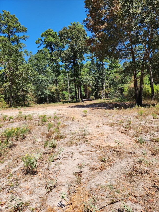 25156 Robin Hood Ct, Hockley, TX 77447 - photo 6