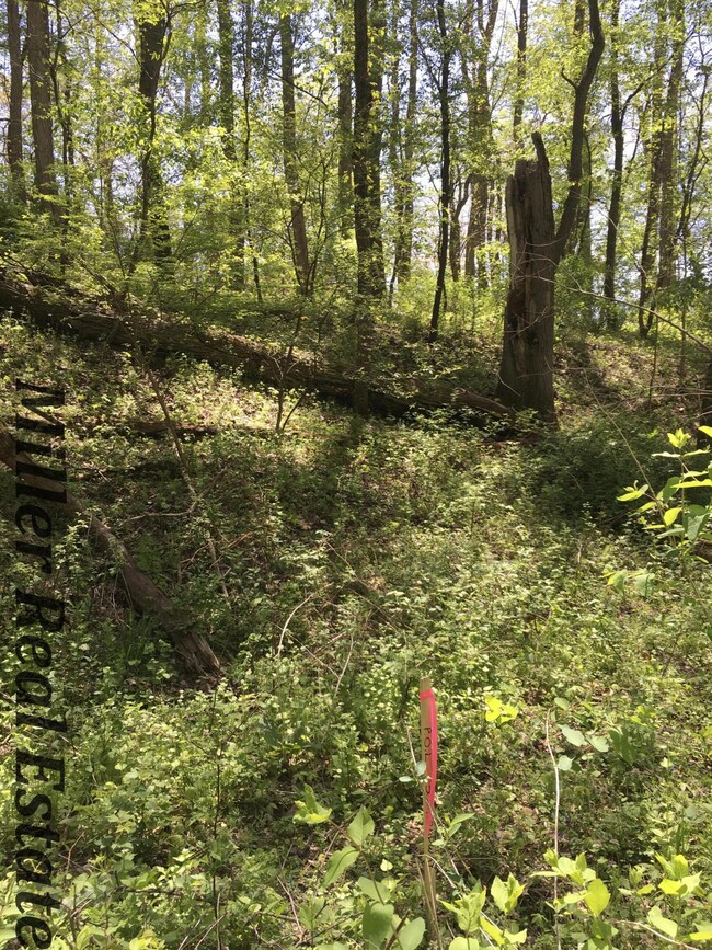 Iroquois Trail-6