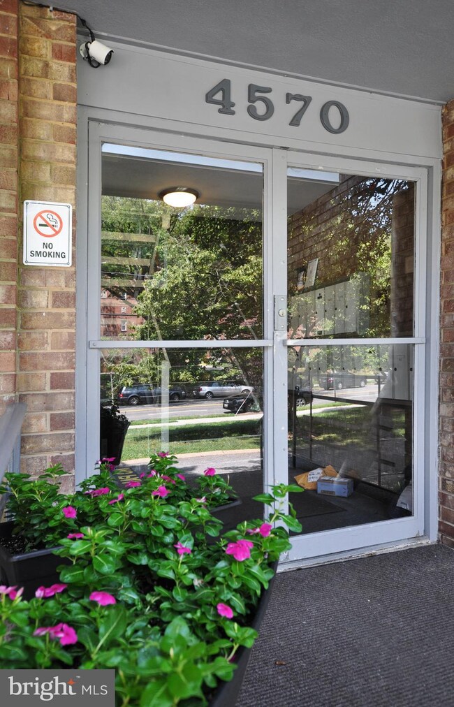 4570 Macarthur Blvd NW unit 204, Washington, DC 20007 - photo 3