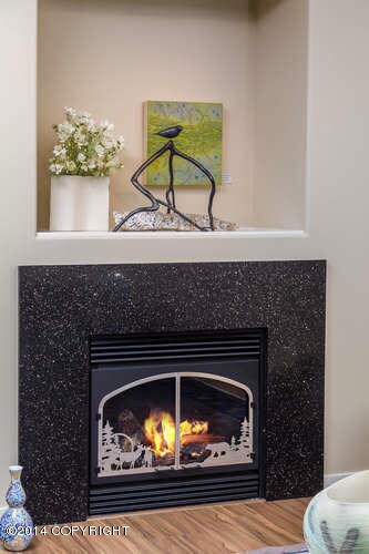 Fireplace w:custom grill