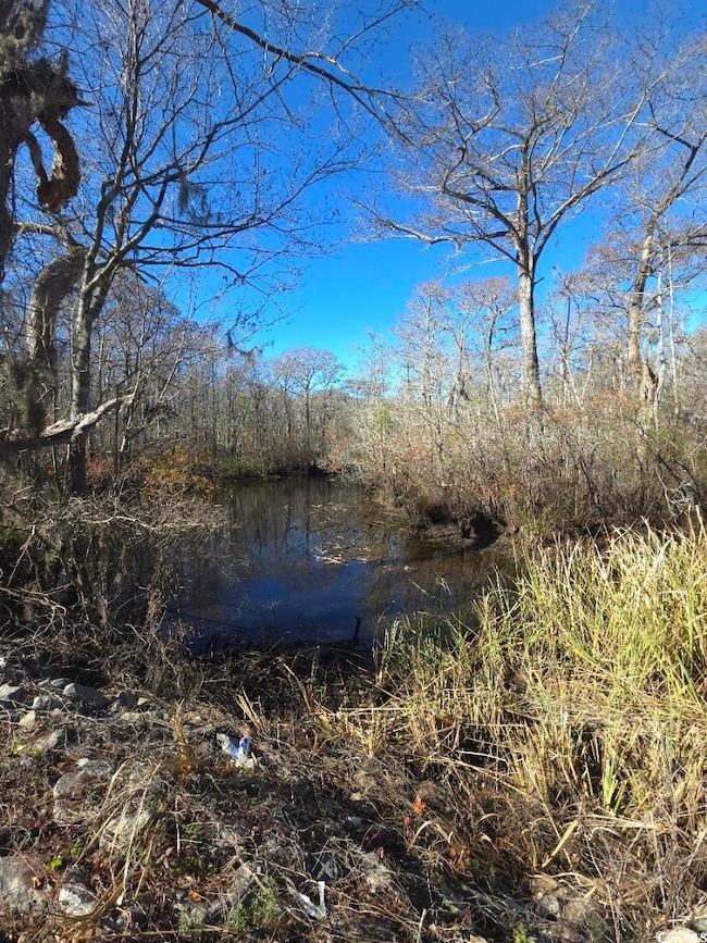 View of landscape featuring a water view