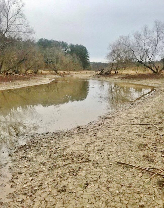 1555 Hartzog St, Prentiss, MS 39474 - photo 3