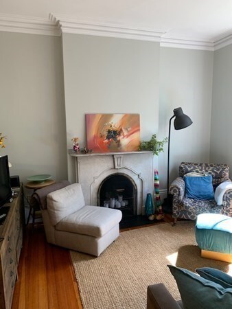 150 W Concord St unit 1, Boston, MA 02118 - photo 4