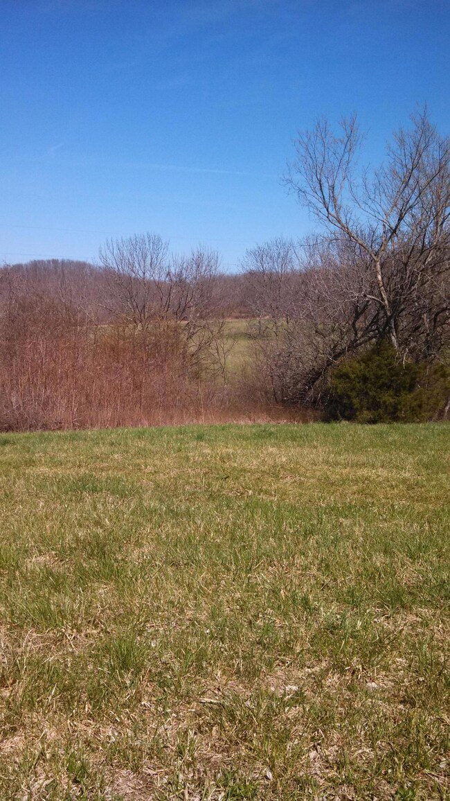 Across the fields
