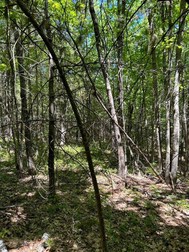 103 Ford Farm Rd, Milton, NH 03851 - photo 4