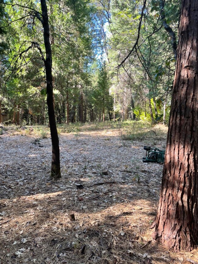 0 Railfence Rd unit 225056391, Alta, CA 95701 - photo 4