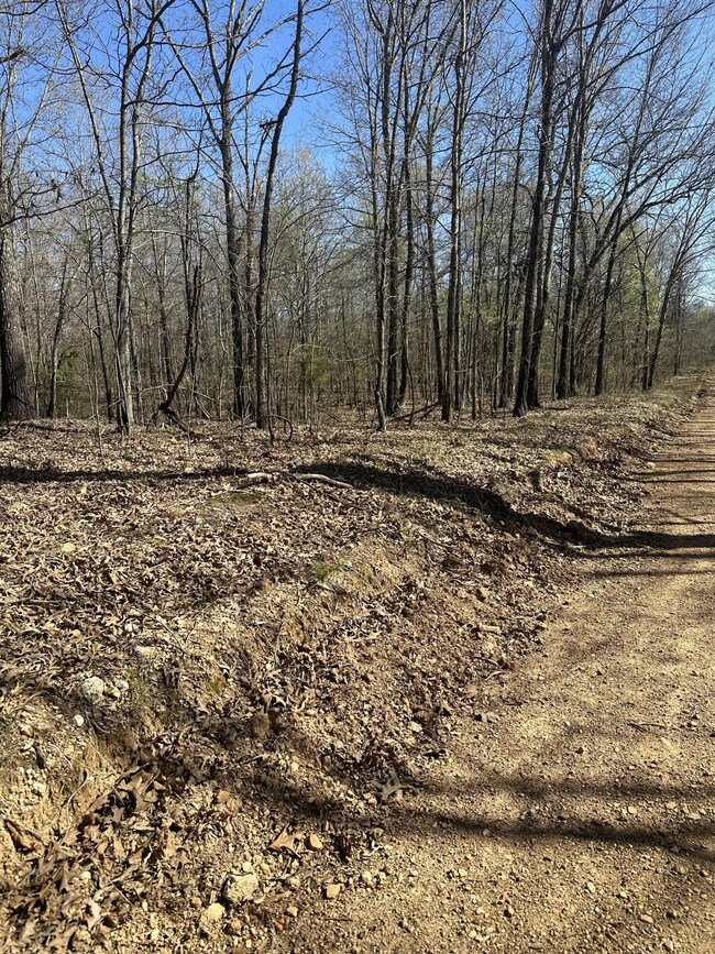 Vacant Land for Sale in Southern Missour