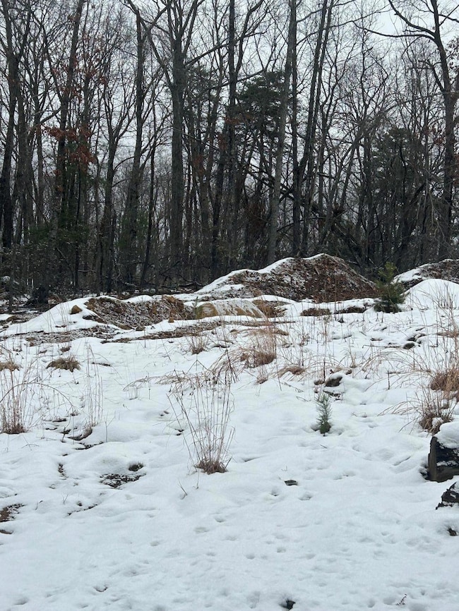 0 Timber Trail Ln unit 923365, Boone, VA 24101 - photo 3