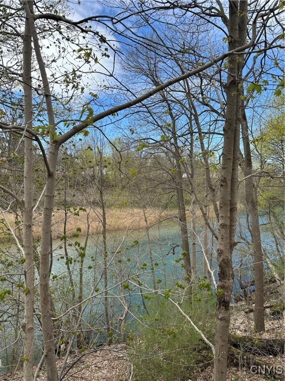 7381 Owasco Rd, Auburn, NY 13021 - photo 5