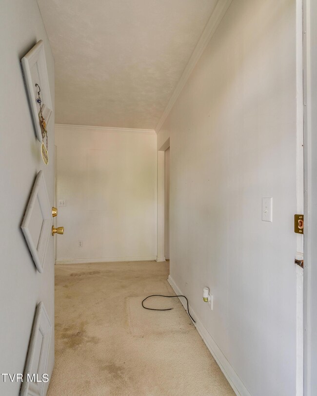 607 E Market St, Johnson City, TN 37601 - photo 4