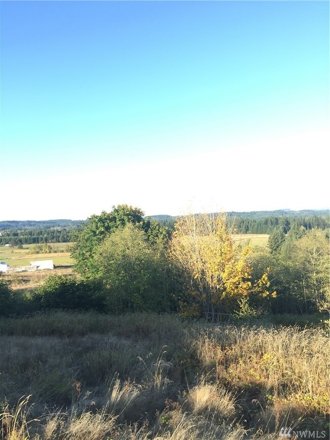 0 Mitchell unit 1208157, Napavine, WA 98565 - photo 3