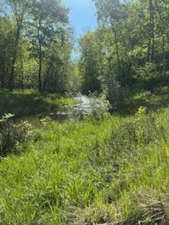 15370 Mallard Rd, Mission Creek Township, MN 55007 - photo 3